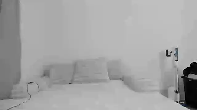 Snapshot of zaylanez chatting on November 2025 06:35:02 AM zaylanez online show from November 2025 06:35:02 AM