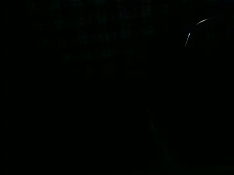 ellsaBunny online show from November 2025 01:28:02 AM