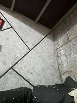 Dilen 7533 online show from March 2026 06:19:02 AM