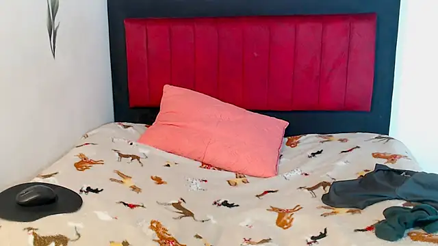 AMARYXS online show from February 2026 02:24:02 PM