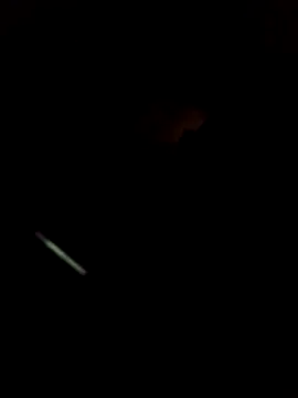 WillfulVideo online show from March 2026 11:08:01 PM