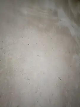 blonde blg online show from March 2026 11:32:01 PM