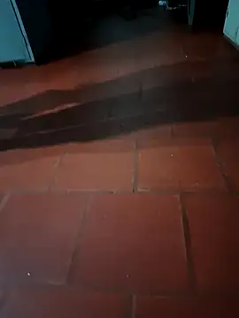 Snapshot of MonasticCanine chatting on February 2026 02:09:02 AM MonasticCanine online show from February 2026 02:09:02 AM