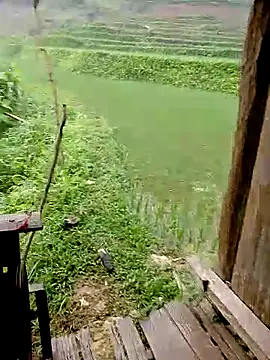 Cloud-wh online show from April 2026 12:10:01 AM