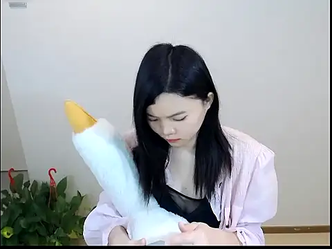 Shaurk online show from February 2026 02:43:02 AM