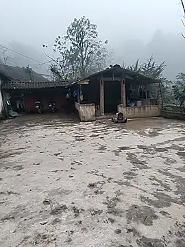 gugu0022 online show from January 2026 03:54:01 AM