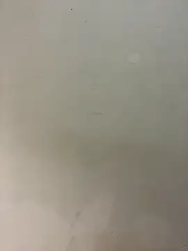 Snapshot of bigass256 chatting on February 2026 05:04:01 AM bigass256 online show from February 2026 05:04:01 AM