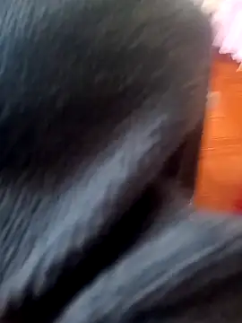 Snapshot of Jeison0323 chatting on February 2026 08:29:01 PM Jeison0323 online show from February 2026 08:29:01 PM