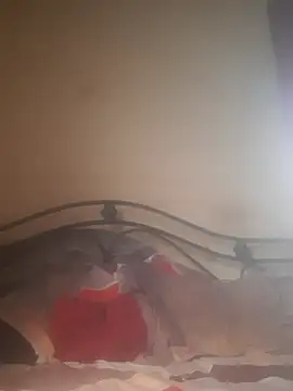 Snapshot of Shivona chatting on November 2025 03:53:02 AM Shivona online show from November 2025 03:53:02 AM