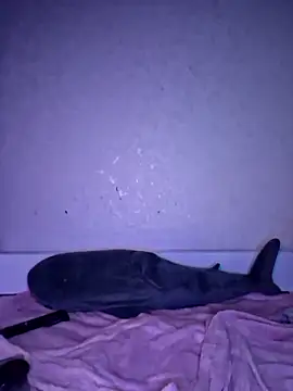 carolinakis  online show from December 2025 08:26:01 PM