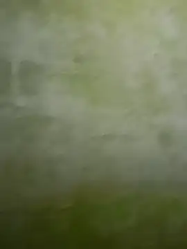 Snapshot of Uplk chatting on November 2025 11:49:01 AM Uplk online show from November 2025 11:49:01 AM