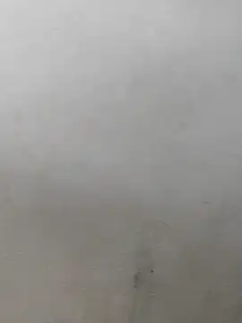 Snapshot of fpic chatting on February 2026 04:22:02 PM fpic online show from February 2026 04:22:02 PM