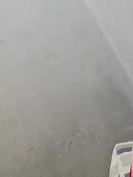 Snapshot of fpic chatting on February 2026 04:44:02 PM fpic online show from February 2026 04:44:02 PM