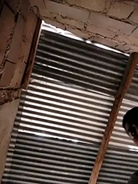 manumegumy online show from November 2025 07:25:01 PM