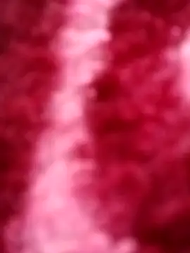 Snapshot of Reema_143 chatting on November 2025 04:05:01 AM Reema 143 online show from November 2025 04:05:01 AM