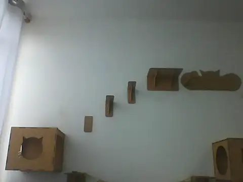 Temp7 online show from March 2026 11:36:01 AM