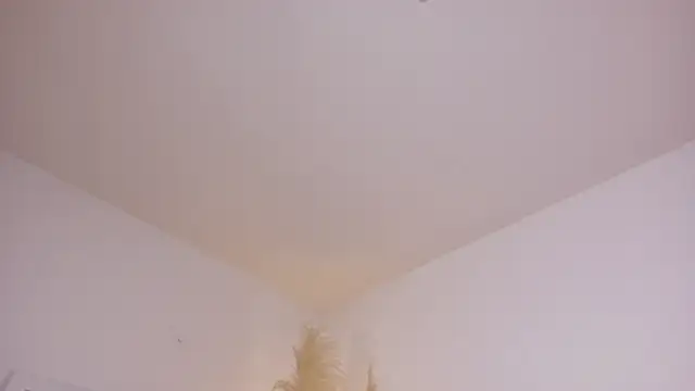 am berr online show from December 2025 07:53:02 PM