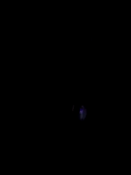 00x0x00 online show from March 2026 07:03:01 PM