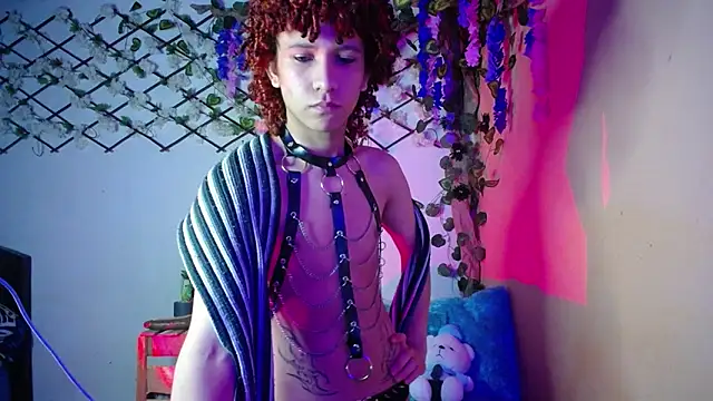 Beel zebu online show from December 2025 03:05:01 AM