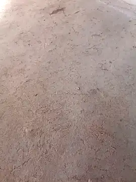 Snapshot of Nandani-758 chatting on December 2025 10:09:02 AM Nandani-758 online show from December 2025 10:09:02 AM