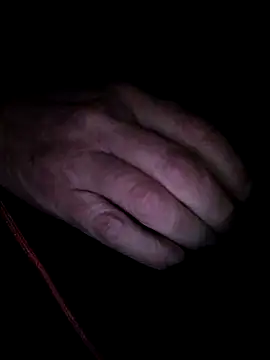 Snapshot of Sebgeneve chatting on February 2026 06:33:02 PM Sebgeneve online show from February 2026 06:33:02 PM