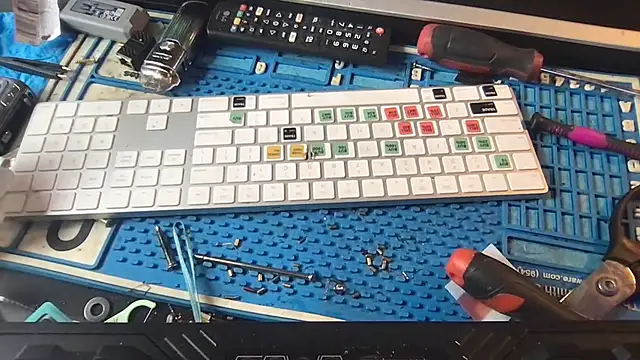 SinlessFreedom7 online show from January 2026 07:34:01 PM