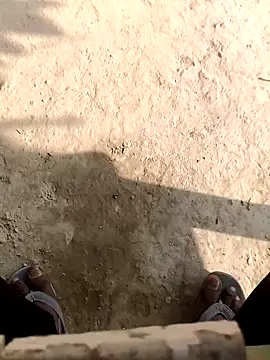 bold 77 online show from December 2025 08:52:02 AM