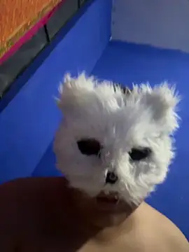 Snapshot of aricub chatting on December 2025 12:59:02 AM aricub online show from December 2025 12:59:02 AM