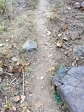 desi alpha boy online show from January 2026 01:42:01 AM