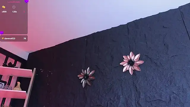 Paulo 527 online show from January 2026 09:29:01 PM