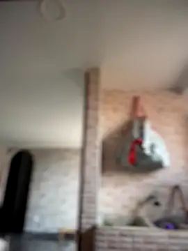 Snapshot of -Nala chatting on December 2025 12:10:01 PM -Nala online show from December 2025 12:10:01 PM