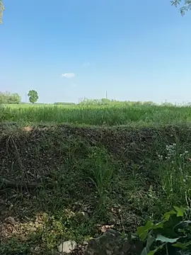 marconordic online show from April 2026 01:26:01 PM