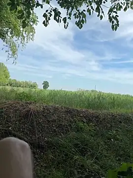 marconordic online show from April 2026 12:58:01 PM