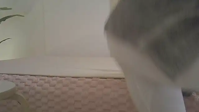 kyono-iyashi online show from March 2026 02:43:01 PM