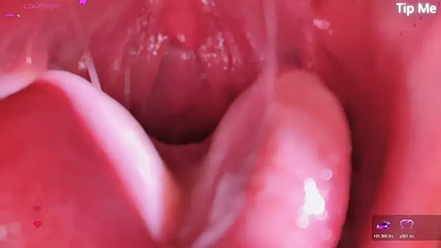 LT-333 online show from April 2026 05:05:02 PM