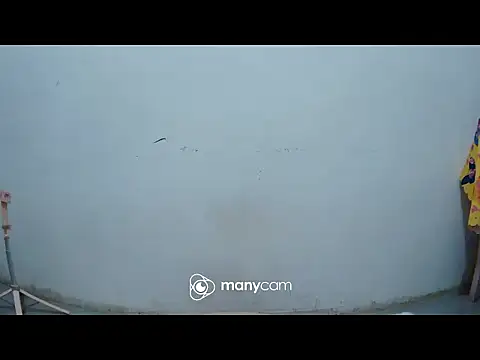 hottiemama69 online show from March 2026 08:23:01 PM