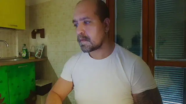 AMIRDIB2025 online show from December 2025 07:48:01 AM