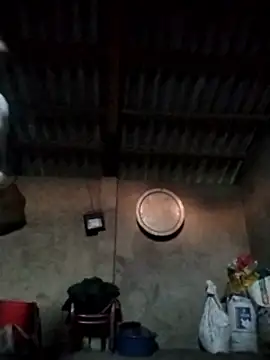 Snapshot of LeoPet2x chatting on December 2025 09:46:02 AM LeoPet2x online show from December 2025 09:46:02 AM