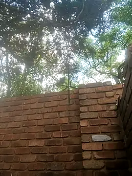 Snapshot of BlackJuicy_01 chatting on December 2025 10:52:02 AM BlackJuicy 01 online show from December 2025 10:52:02 AM