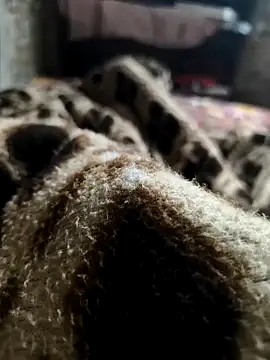 Snapshot of Mahi-Aman chatting on December 2025 02:42:01 AM Mahi-Aman online show from December 2025 02:42:01 AM