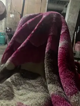 anh-soi123 online show from March 2026 05:41:02 PM