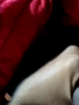 mast boy online show from December 2025 08:52:02 AM