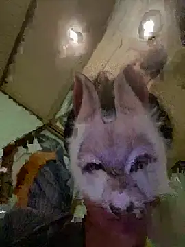 Snapshot of aotaro0721 chatting on February 2026 04:01:02 AM aotaro0721 online show from February 2026 04:01:02 AM