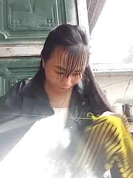 Snapshot of Maiphu34 chatting on May 2026 02:50:01 AM Maiphu34 online show from May 2026 02:50:01 AM