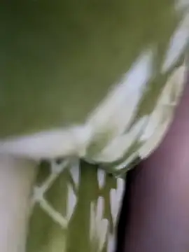 Snapshot of Aalam_0890 chatting on December 2025 11:03:02 AM Aalam 0890 online show from December 2025 11:03:02 AM