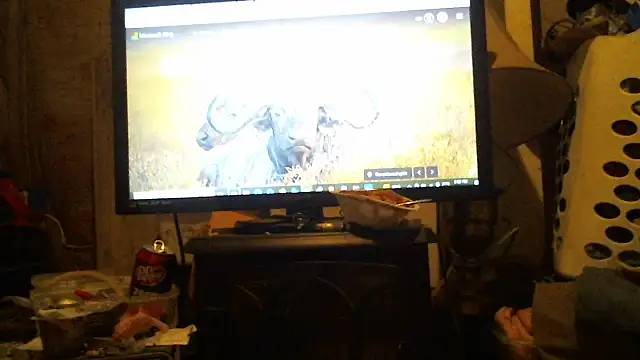 cannonball765309 online show from March 2026 07:02:02 PM