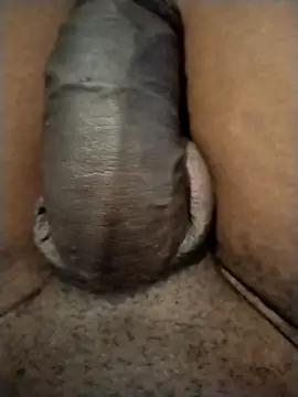 Piazza21 online show from January 2026 05:22:01 AM