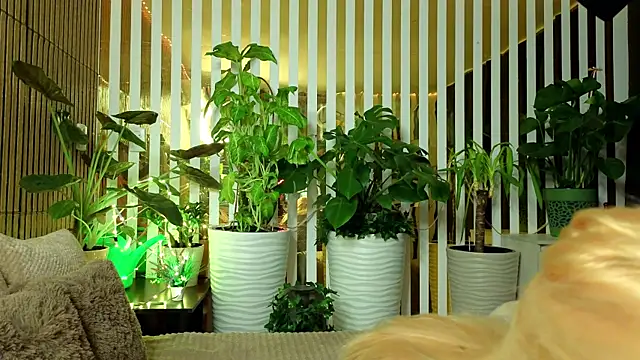 Snapshot of FlowweerGirl chatting on December 2025 09:41:02 PM FlowweerGirl online show from December 2025 09:41:02 PM