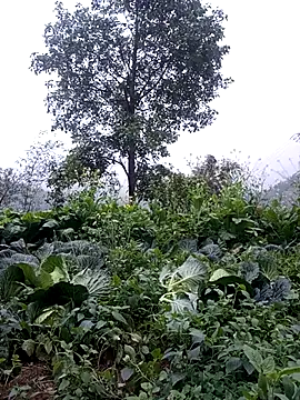 sary-hot2x online show from February 2026 10:46:01 AM