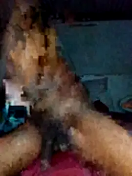 Snapshot of Maintee27 chatting on February 2026 07:54:01 PM Maintee27 online show from February 2026 07:54:01 PM